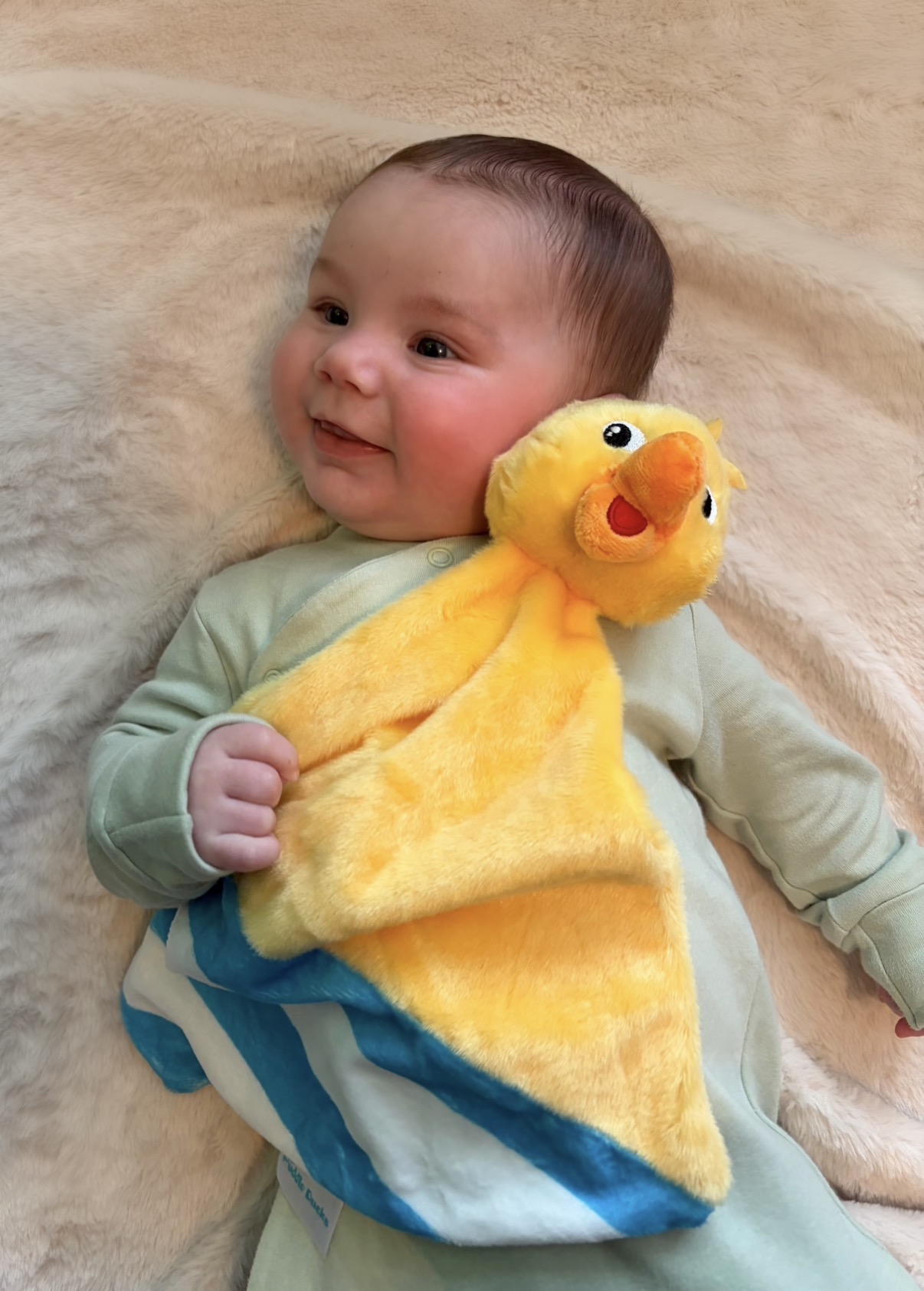 Puddle Ducks Comforter