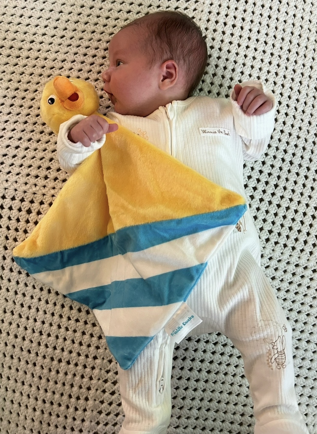 Puddle Ducks Comforter